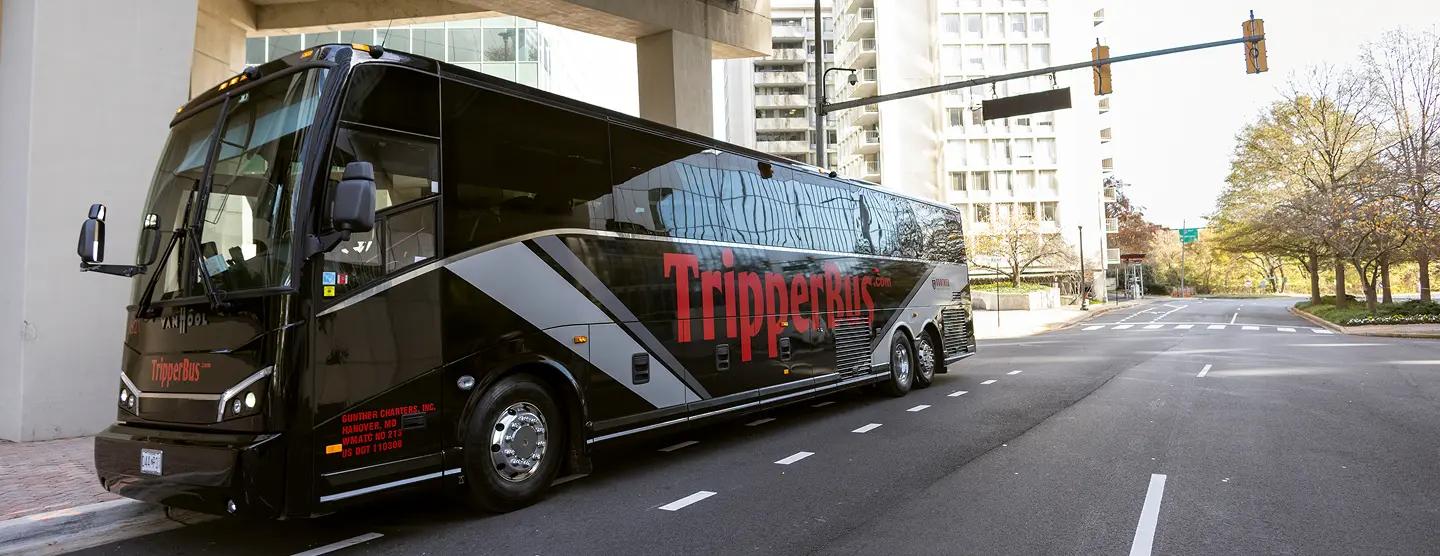 Elite bus service experience background