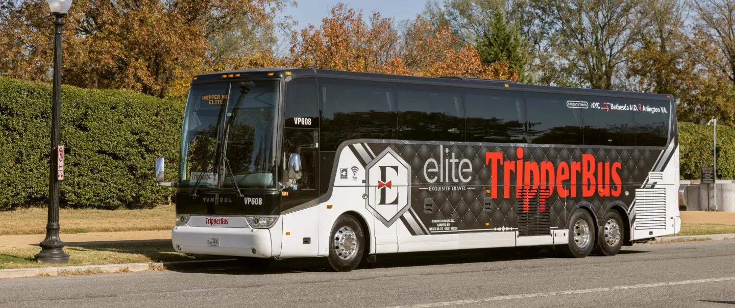 Elite bus service experience background